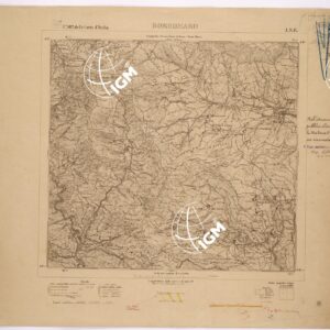 102 I-NE (BORGOMARO) Anno: 1901