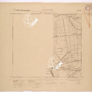 104 II-SO (S. ROSSORE) Anno: 1920