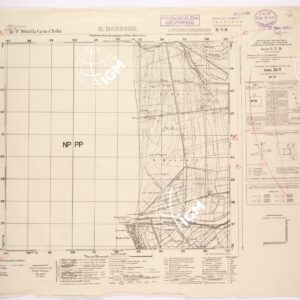 104 II-SO (S. ROSSORE) Anno: 1939