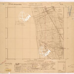 104 II-NO (TORRE DEL LAGO) Anno: 1928