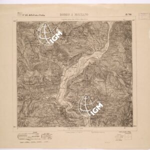 105 IV-NO (BORGO A MOZZANO) Anno: 1879