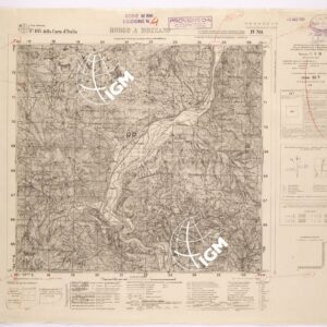 105 IV-NO (BORGO A MOZZANO) Anno: 1920