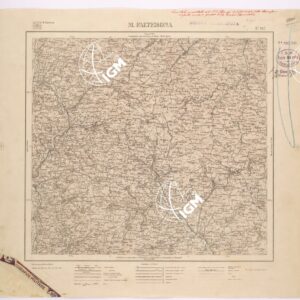 107 (M. FALTERONA) Anno: 1937