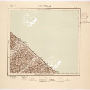 110 (SENIGALLIA) Anno: 1917