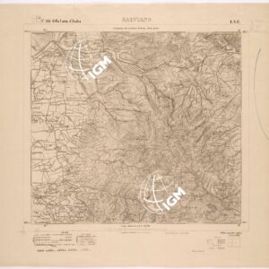 111 I-SE (SALVIANO) Anno: 1881