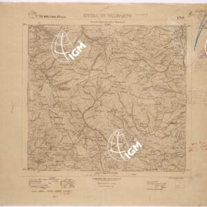 113 I-NE (INCISA IN VALDARNO) Anno: 1905