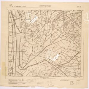 121 I-NE (MONTECCHIO) Anno: 1911