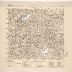 124 III (CAMERINO) Anno: 1907