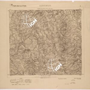 129 I (RADICOFANI) Anno: 1883