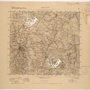 131 II (SPOLETO) Anno: 1907