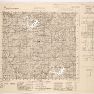 132 I (AMANDOLA) Anno: 1907