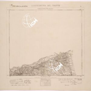 133 I (S. BENEDETTO DEL TRONTO) Anno: 1876