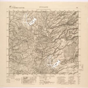 136 IV (PITIGLIANO) Anno: 1894