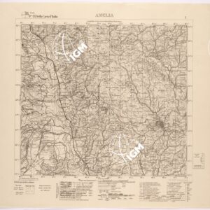 137 I (AMELIA) Anno: 1907