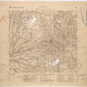 137 III (VITERBO) Anno: 1908