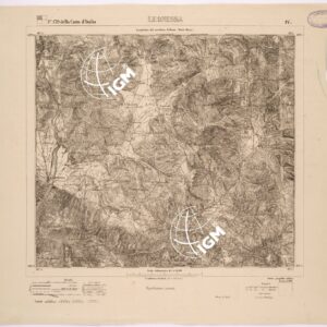 139 IV (LEONESSA) Anno: 1876