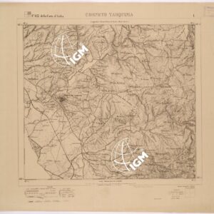 142 I (CORNETO TARQUINIA) Anno: 1879