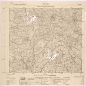 142 II-NE (TOLFA) Anno: 1925