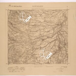 143 I (RONCIGLIONE) Anno: 1879