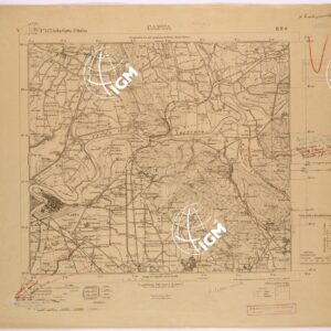 172 II-NO (CAPUA) Anno: 1919