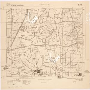 172 III-SE (ALBANOVA) Anno: 1919