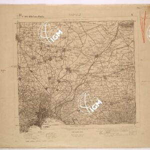 184 I (NAPOLI) Anno: 1876