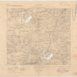 189 IV (TORITTO) Anno: 1919