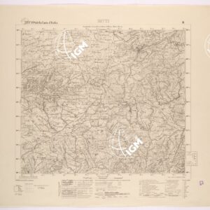 194 II (BITTI) Anno: 1931