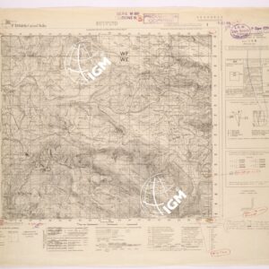 198 I (BUCCINO) Anno: 1908