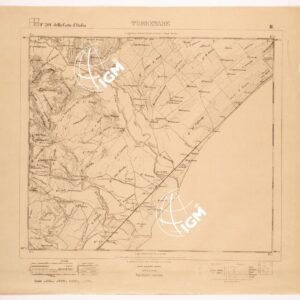 201 II (TORREMARE) Anno: 1873