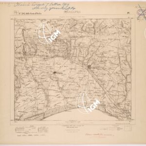 202 IV (MASSAFRA) Anno: 1874