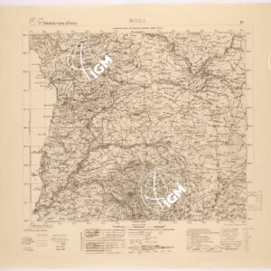 206 IV (BOSA) Anno: 1943