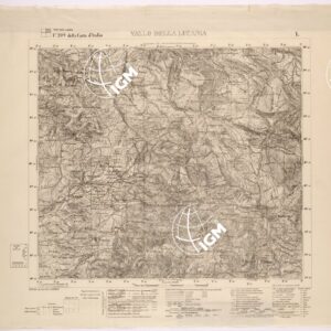 209 I (VALLO DELLA LUCANIA) Anno: 1908