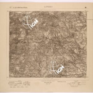 221 III (LUNGRO) Anno: 1873