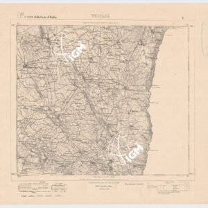 223 I (TRICASE) Anno: 1874