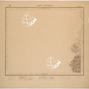 224 (CAPO PECORA) Anno: 1903