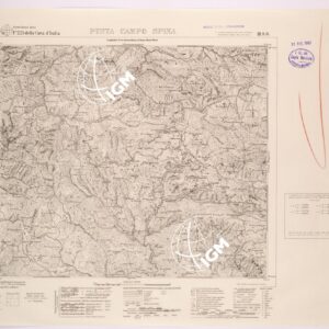 225 III-SO (PUNTA CAMPO SPINA) Anno: 1931