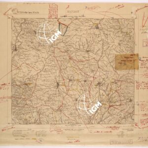 226 IV (MANDAS) Anno: 1919