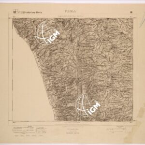 229 III (PAOLA) Anno: 1873