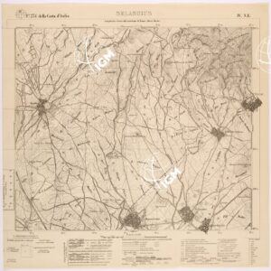 234 IV-NE (SELARGIUS) Anno: 1931