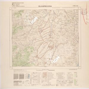 235 IV-NO (OLIASPECIOSA) Anno: 1961