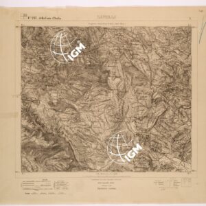 237 I (SAVELLI) Anno: 1870