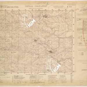 237 II-NO (PETILIA POLICASTRO) Anno: 1953