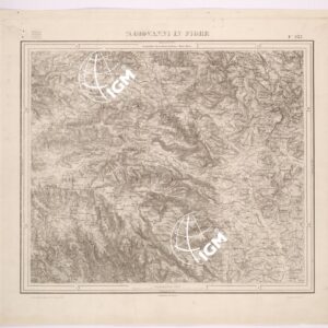 237 (S. GIOVANNI IN FIORE) Anno: 1880