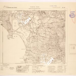 239 IV-NE (PORTO PINO) Anno: 1931