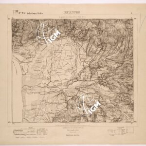 241 I (NICASTRO) Anno: 1870