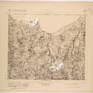 253 III (PATTI) Anno: 1865