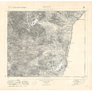 255 III (BIANCO) Anno: 1870