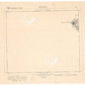 256 II (MARSALA) Anno: 1863