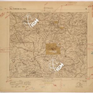 260 III (PETRALIA) Anno: 1895